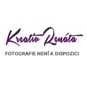  Hedvábná vitráž - motýl